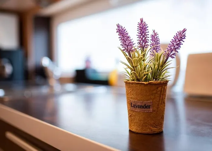 Apartment Ohrid 2bdr Warna