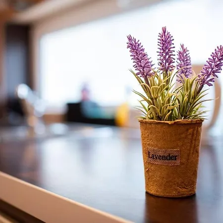 Apartment Ohrid 2bdr Varna